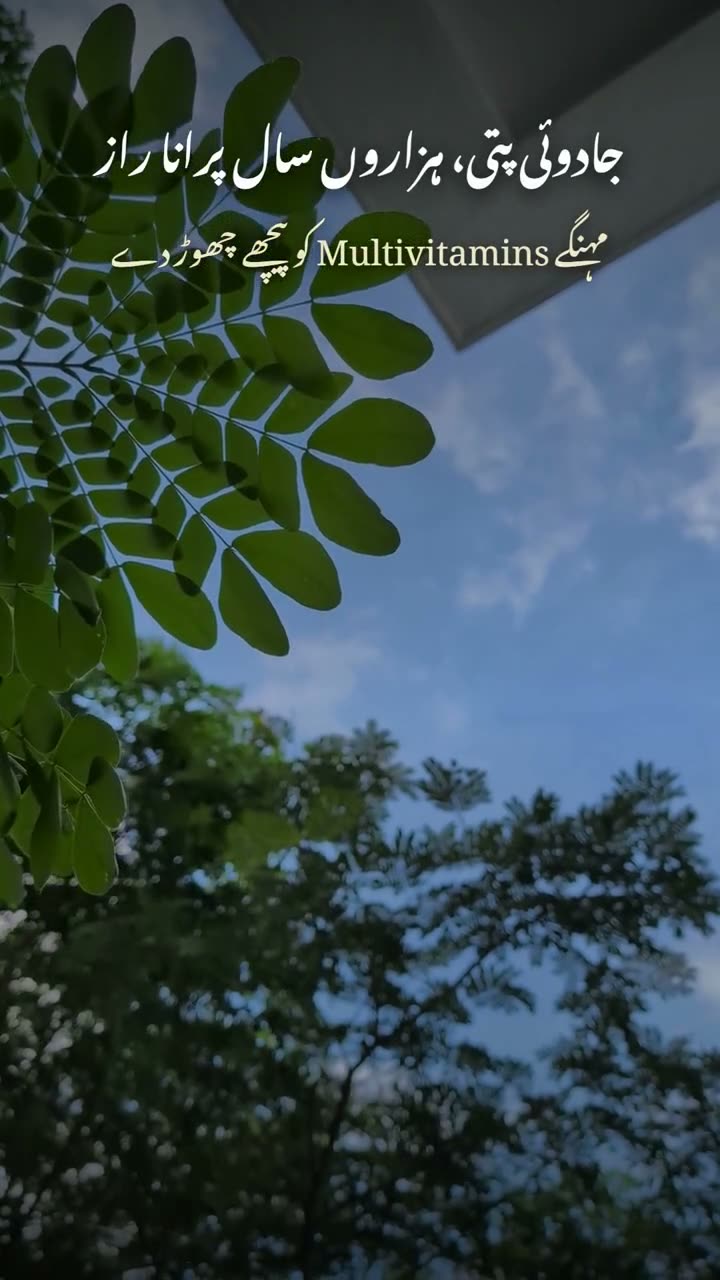 Moringa (Sohanjana): The Magic Leaf That Beats Multivitamins